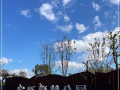 -上海滨江森林公园