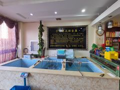 -宁记柴火灶台鱼·全鱼宴(龙源小区店)