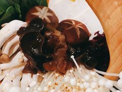 -掂档潮汕牛肉火锅(沈阳万象城店)