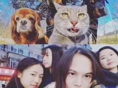 -蒙自源小锅米线(金佰利店)