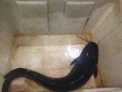 -小牛海记潮汕牛肉店(永定路店)