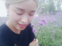 -北京东方普罗旺斯薰衣草庄园