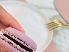 -视博茶点(美狮美高梅店)