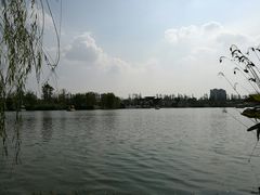 -上海长兴岛郊野公园