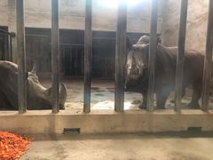 -石家庄市动物园