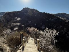 -北京凤凰岭
