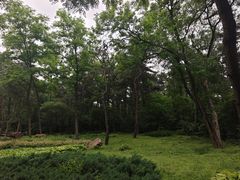 -沈阳植物园