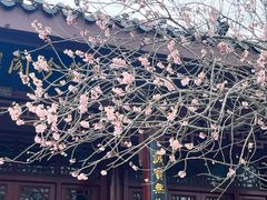 -堤角公园