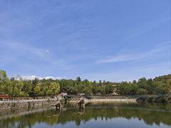-中国西峡恐龙遗迹园