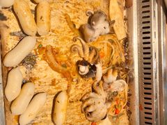 -新石器烤肉(百联川沙店)