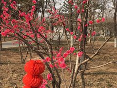 -石家庄市动物园