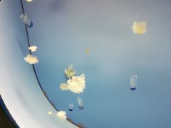 -常州海昌海洋探索馆