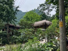 -抱龙峪