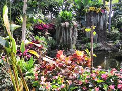 -北京植物园-展览温室