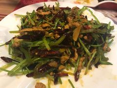 -新兴园饺子馆(北京百子湾店)