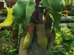 -国家植物园南园