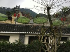 -老幺泉水鸡
