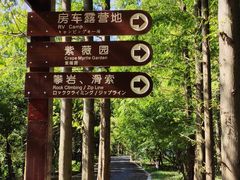 -东平国家森林公园
