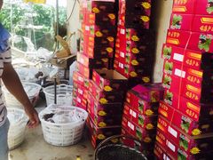 -美家乐农庄·露营·团建(大治路店)