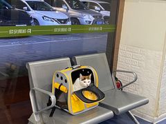 -瑞鹏宠物医院·爱宠堂(环西分院)