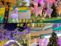 -新城市广场