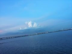 -大湾区中央湿地公园