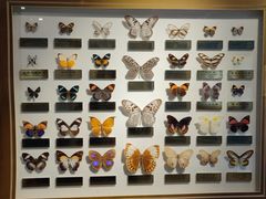 -上海昆虫博物馆