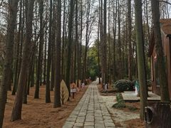 -同里国家湿地公园