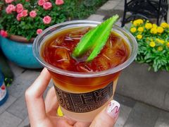 lalaland-Punchline Coffee&Roaster(同济大学店)