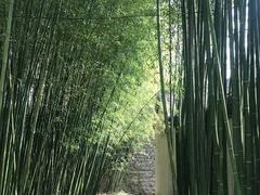 -竹泉村旅游度假区