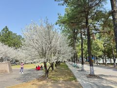-同济大学(嘉定校区)