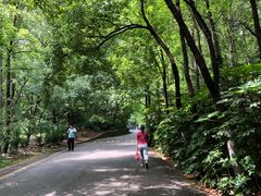 -大蜀山国家森林公园