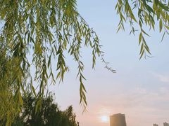 -雁滩公园