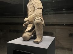 -秦始皇帝陵博物院(兵马俑)