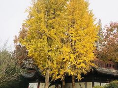 -汇龙潭
