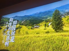 -杨厨的田园饭店(长城路店)