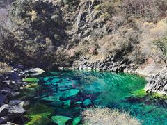 -叠溪松坪沟景区