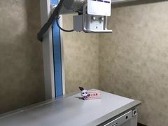 -宠爱国际动物医院· 猫科· 外科·中兽医(长白店)