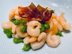 -西郊5号·Maggie 5