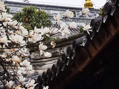 -龙华寺