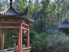 -广州神农草堂中医药博物馆