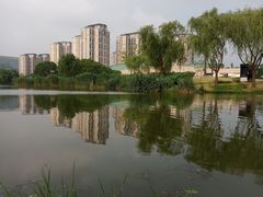 -新江湾城公园