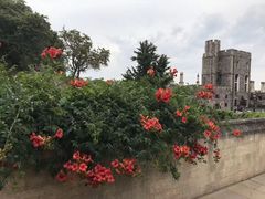 -温莎城堡