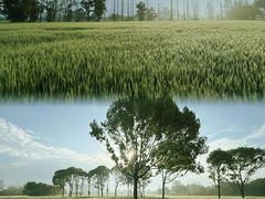 -国际非物质文化遗产博览园