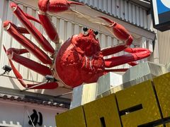 -蟹道乐(道顿堀本店)