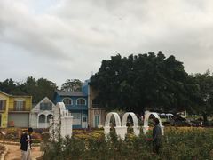 -松山湖梦幻百花洲