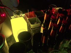 -苏荷酒吧(九街店)