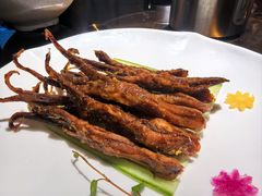 -溪山云境森林音乐餐厅(湖景店)