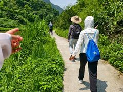 -长沙黑麋峰国家森林公园