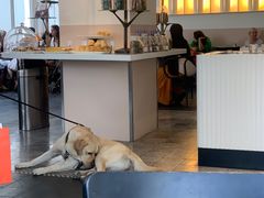 -乐蓬马歇百货公司(Rive Gauche)